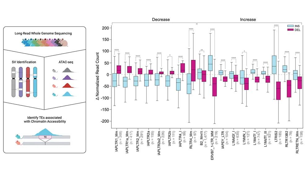 Resolving genetic diversity in mouse strains