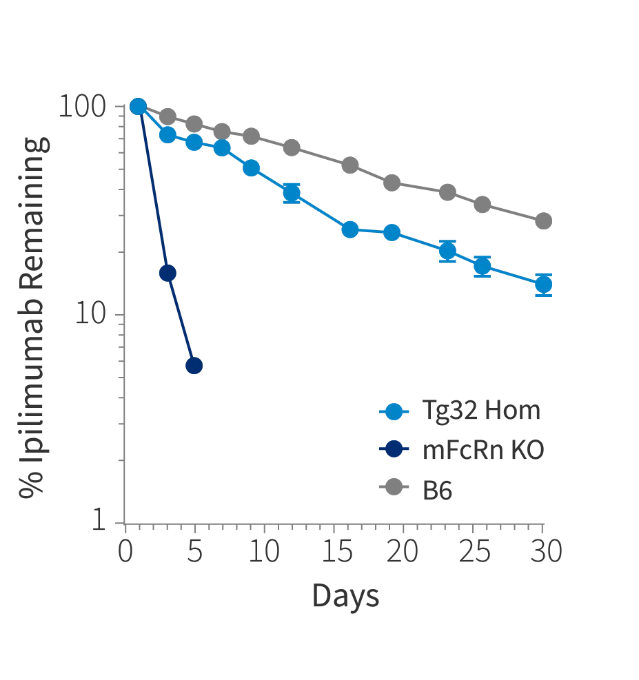 Figure 1b: Plasma concentration time plot of Ipilimumab at single intravenous dose at 10mg/kg in Tg32 Hom (014565), mFcRn KO mice and C57BL/6J mice (000664)