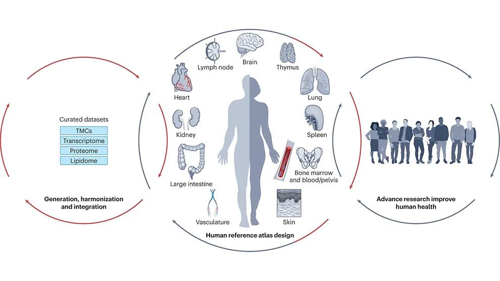 Cellular senescence and healthy aging